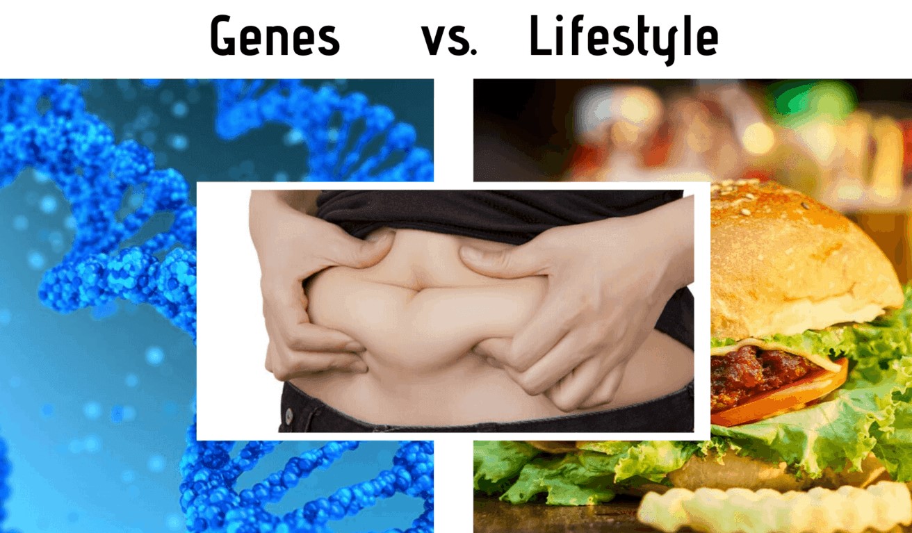 genetics and lifestyle in Obesity