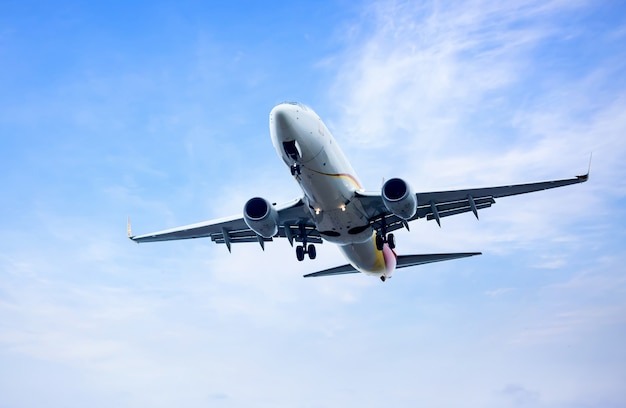 Forgetting About Travel Logistics