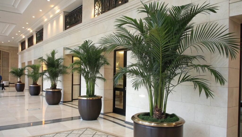 Artificial Greenery in the hotel lobby