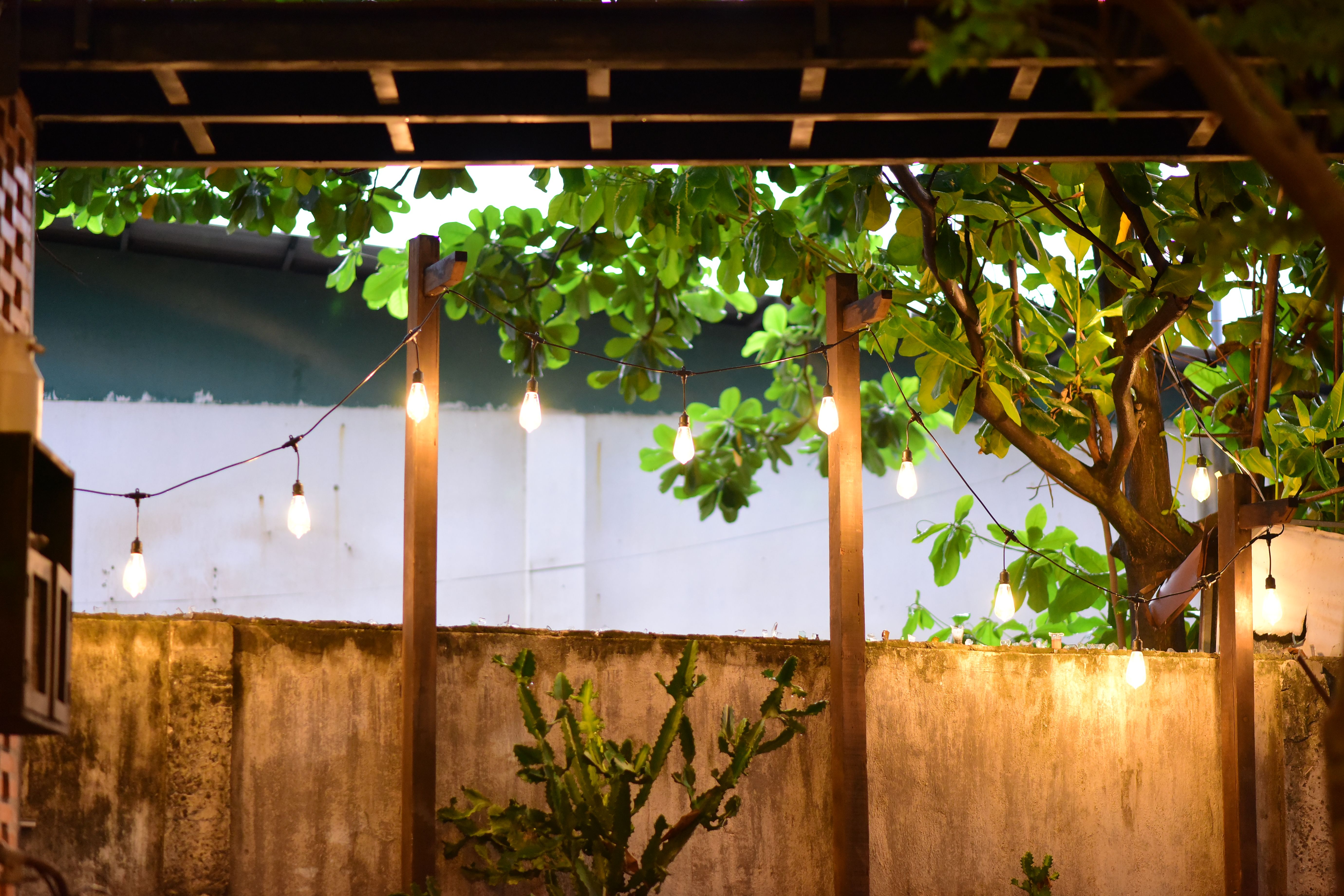 Warm string lights illuminating a leafy backyard and creating a more inviting outdoor atmosphere.